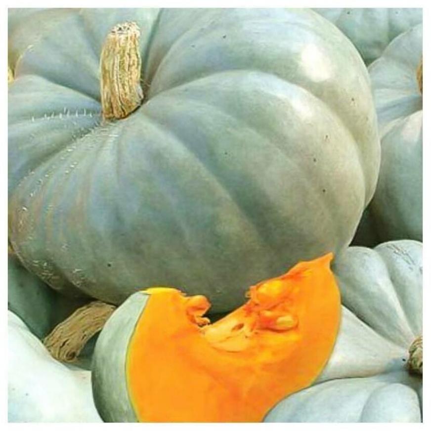 Тыква Зимняя сладкая