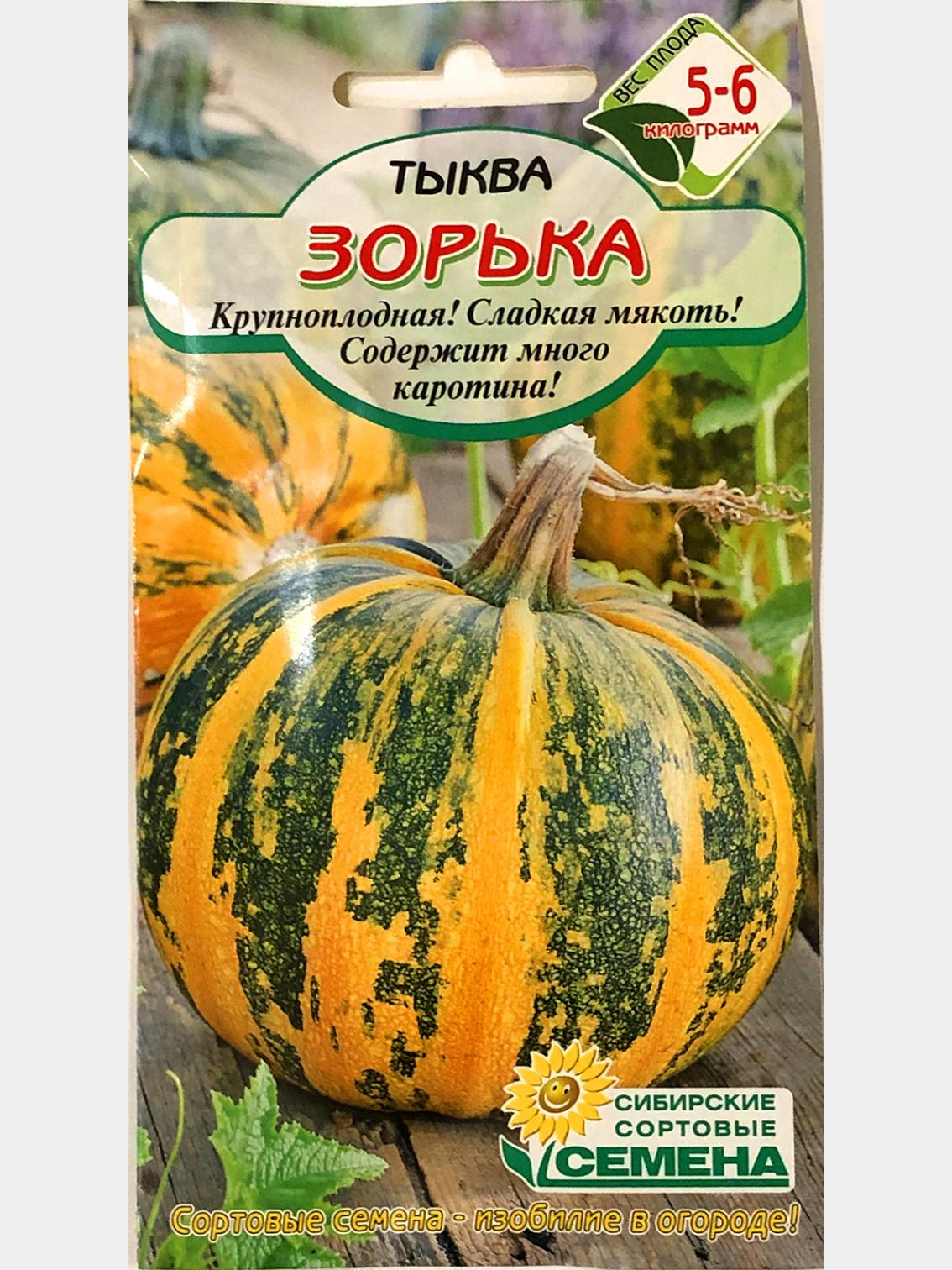 Тыква Зорька 2