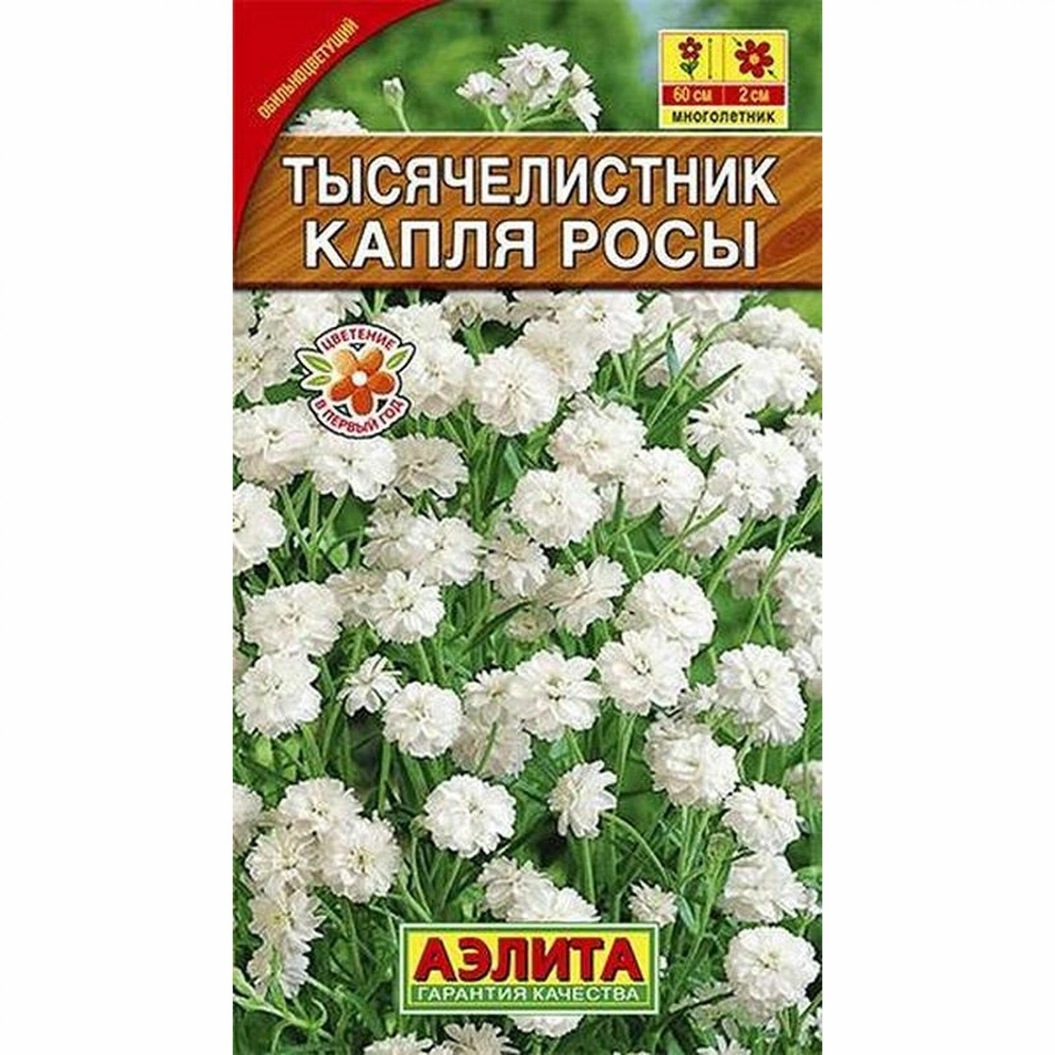 Тысячелистник Капля росы 2