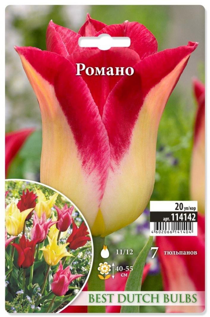 Тюльпаны Романо