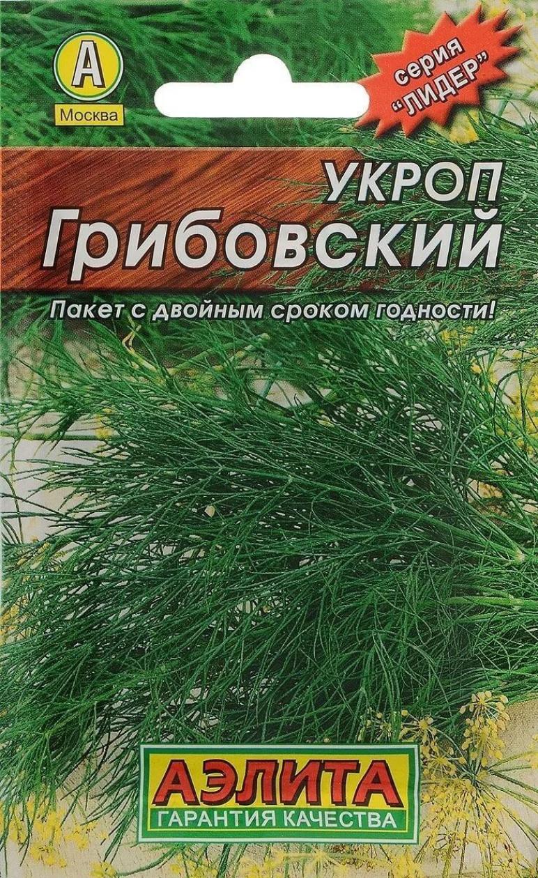 Укроп Грибовский 2