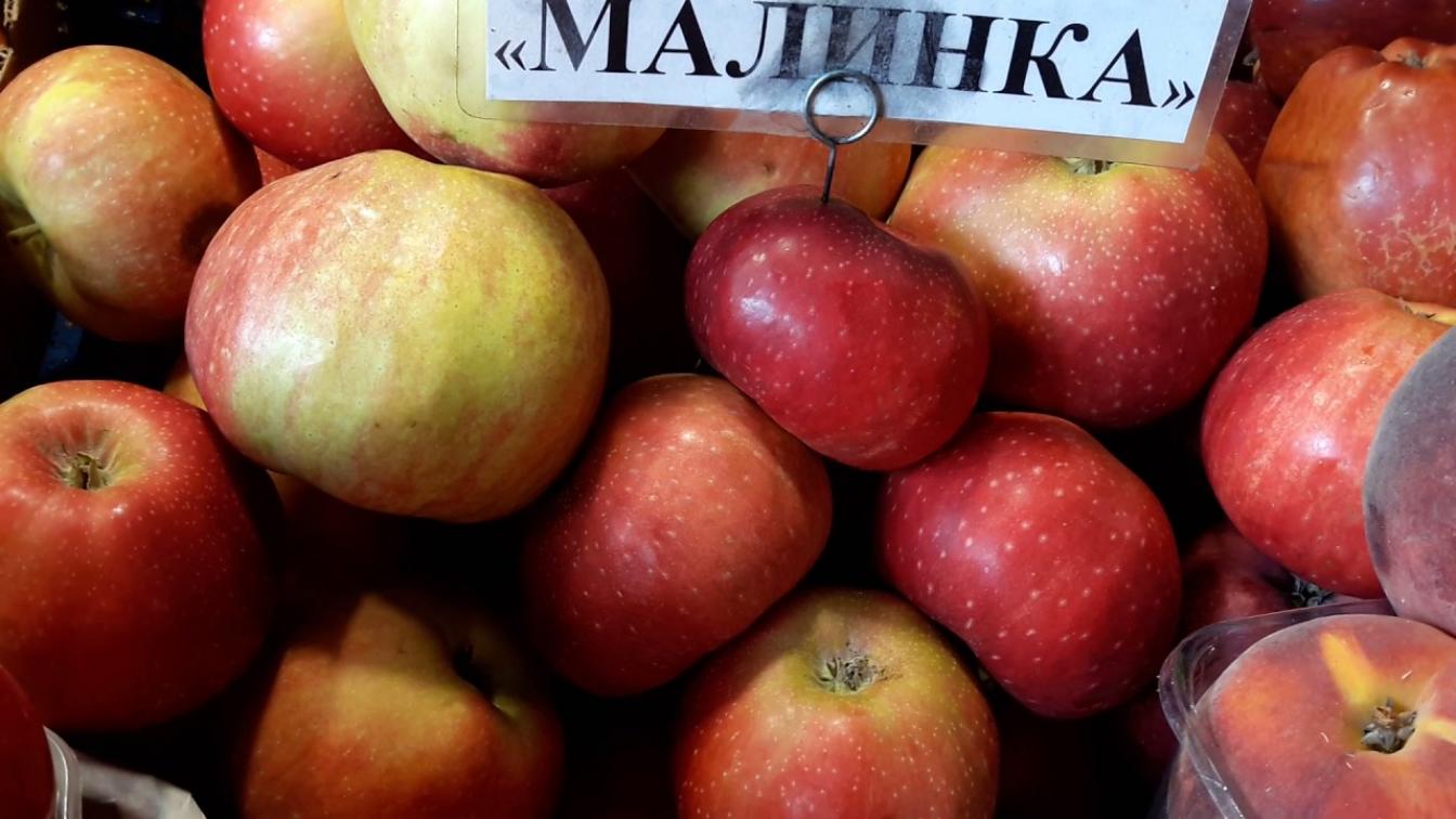 Яблоня Малинка 6