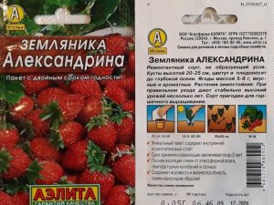 Земляника Александрина