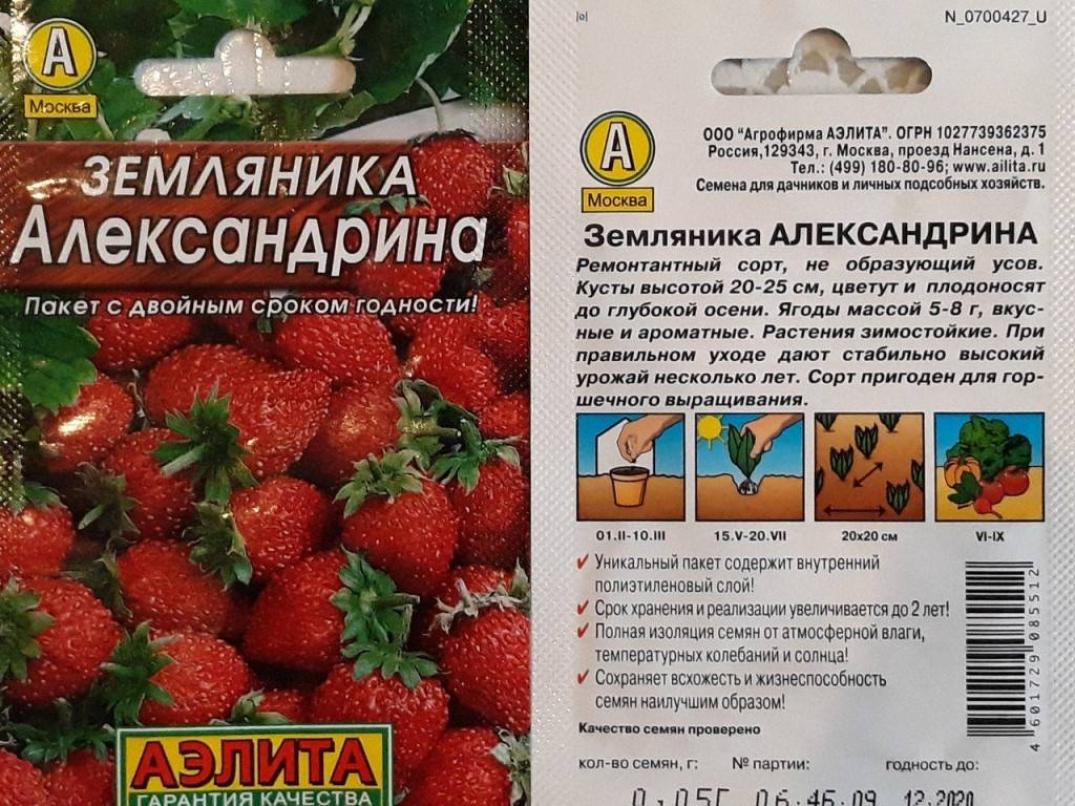 Земляника Александрина